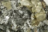 Cubic Pyrite Crystals and Quartz on Sphalerite - Peru #369828-1